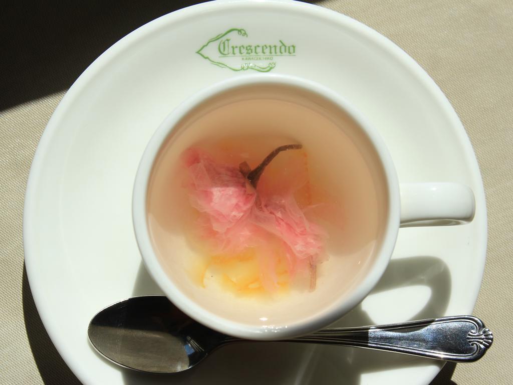 Fujikawaguchiko Crescendo Otel Dış mekan fotoğraf